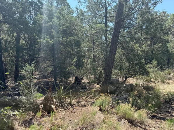 17 Andromeda Ln, Tijeras, NM 87059