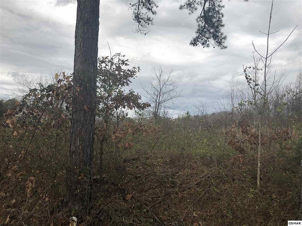 2nd image of LOT Thirty Starlight Ln