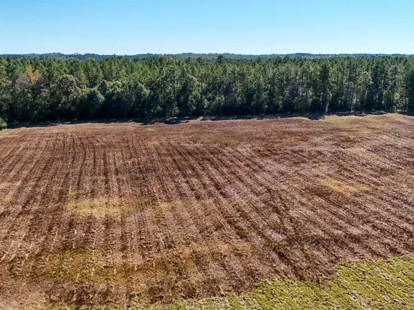 0 Open Pond Rd, Florala, AL 36442