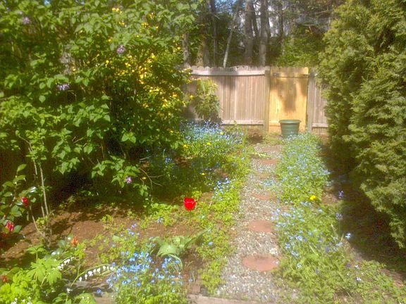 there's a new fence now