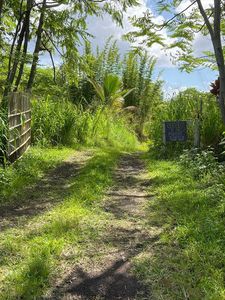 13-945 Opihikao Rd #X, Pahoa, HI, 96778
