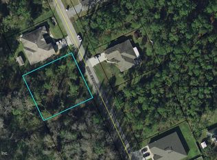 21 Zonal Geranium Trl, Palm Coast, FL 32164