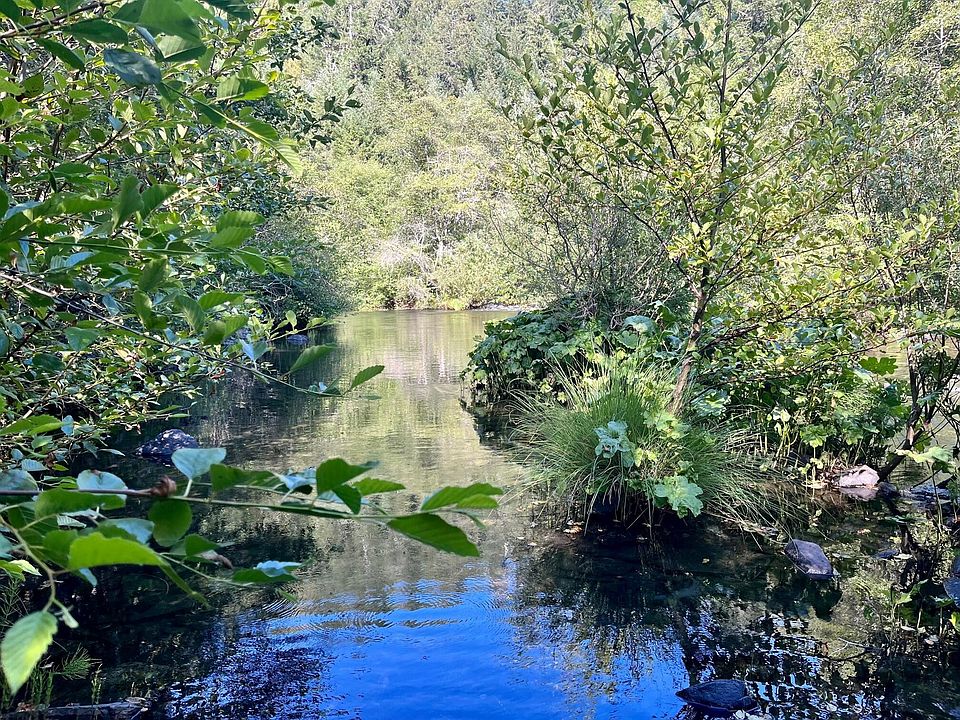 1st image of Redwood Creek None