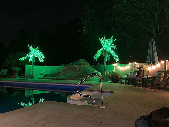 Pool at night with palm tree