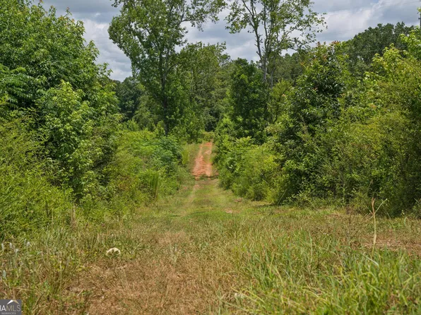 47 Askin Place Rd, Culloden, GA 31016