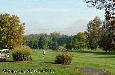 2nd image of 816 Mosby Hollow Dr