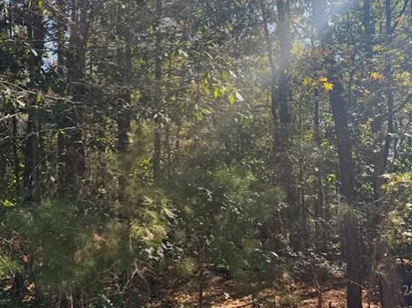 440 Highland Park Trce, Pine Mountain, GA 31822