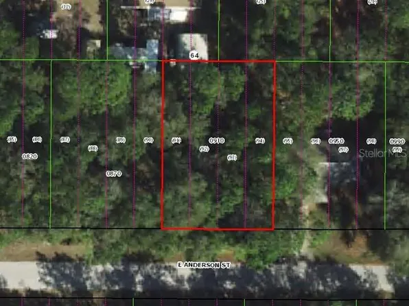 3301 E Anderson St Lot 91, Inverness, FL 34453