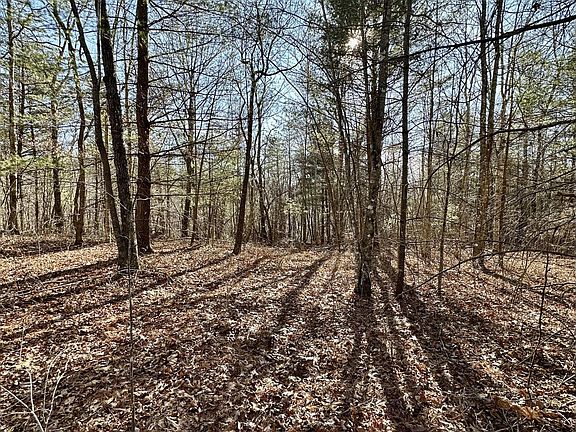 2nd image of Woodland Trl Lot 17