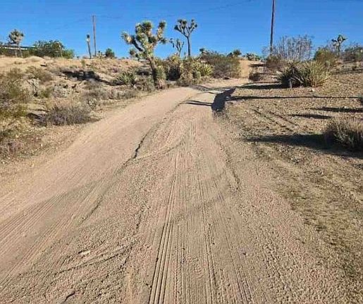 Exterior Neighborhood (street photo)
