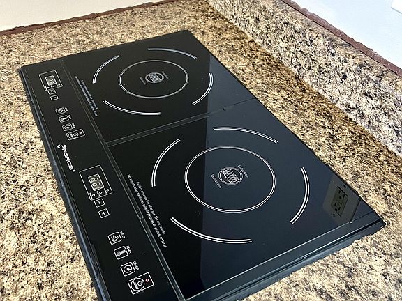 two burner induction cook top