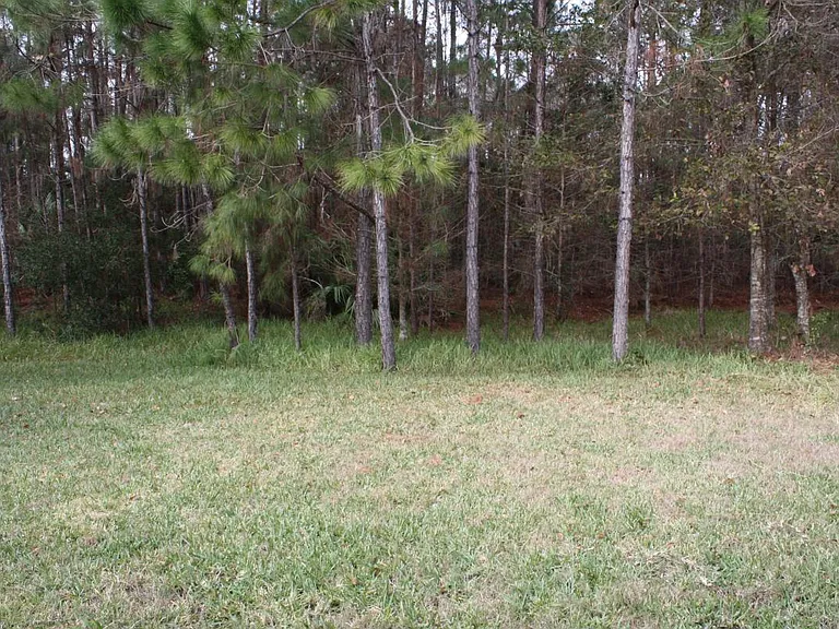 Lareg Private Wood Backyard