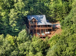 279 Dream Cove Rd, Cherry Log, GA 30522