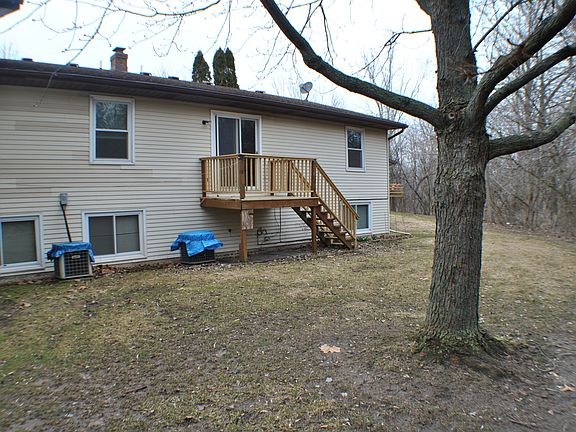 Backyard/Deck