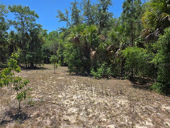 3rd image of 11837 N CAPTIVA TERRACE LOT 7