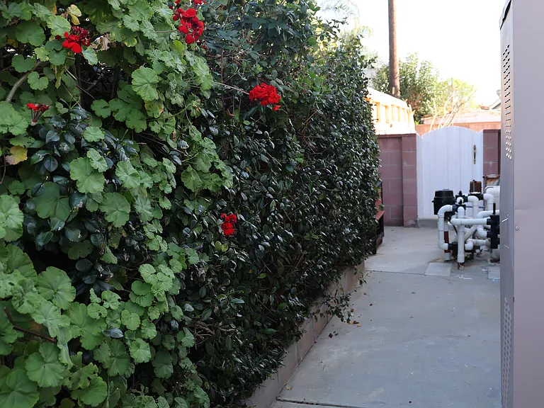 Side yard