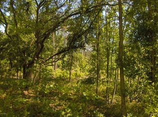 243 Preston Dr, Ridgeland, SC 29936