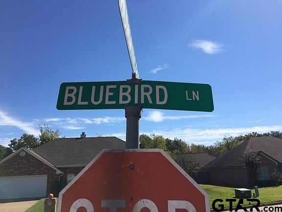 5th image of Memory Bluebird Lot