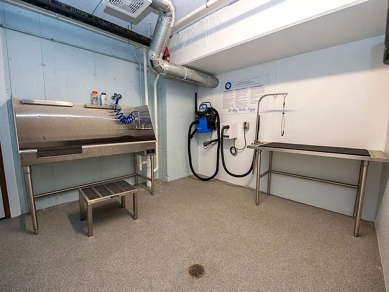 Dog Wash Room