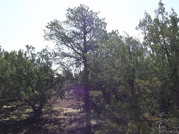 3rd image of 1443 E Antler Ln #550