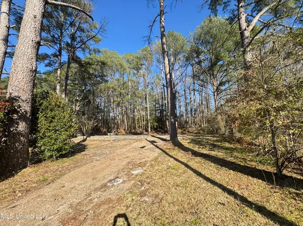 229 Revere Cir, Mendenhall, MS 39114