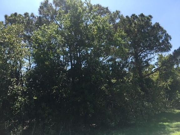 5th image of 2202 SE Dill Ln
