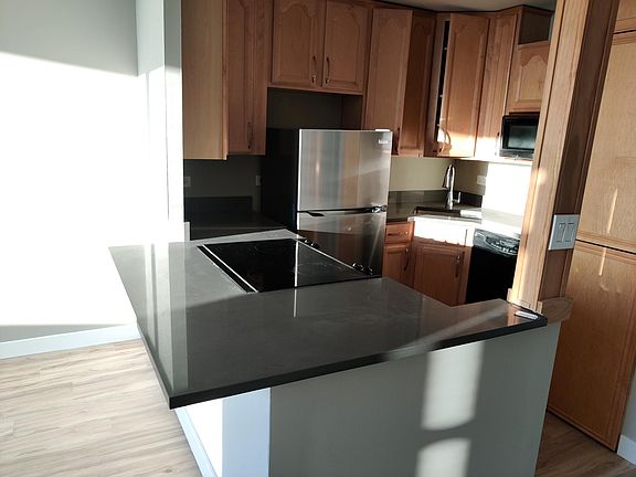 4th image of 1355 N Sandburg Ter APT 2605