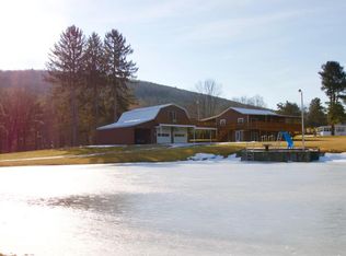 350 Dean Creek Rd, Spencer, NY 14883