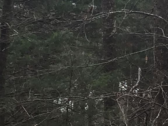 5th image of K-trail