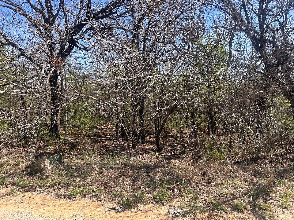 1st image of Palmetto Ct #2