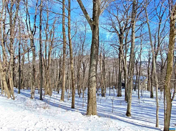 671 Shamokin Springs Trl, Roseland, VA 22967