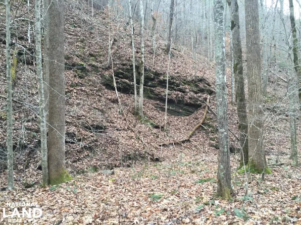 2066 Pressmens Home Rd, Rogersville, TN 37857