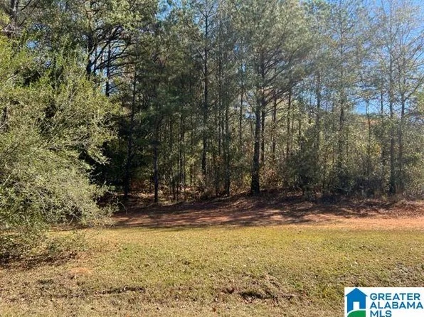 0 Blue Cutt Rd #1, Pell City, AL 35128