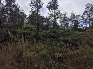 11 3221st #41, Volcano, HI 96785