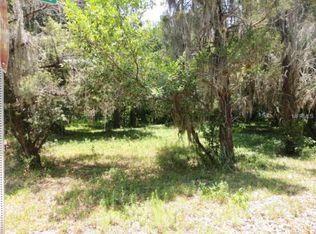 717 Coronet St, Plant City, FL 33563