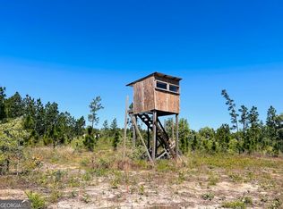 538 Simmons Rd, Mauk, GA 31058