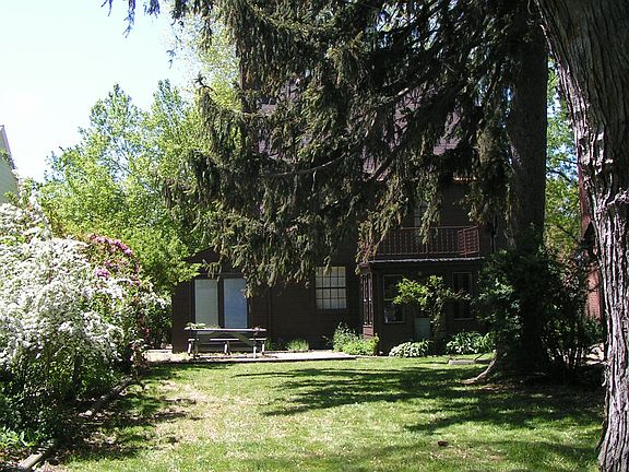 Back yard in spring