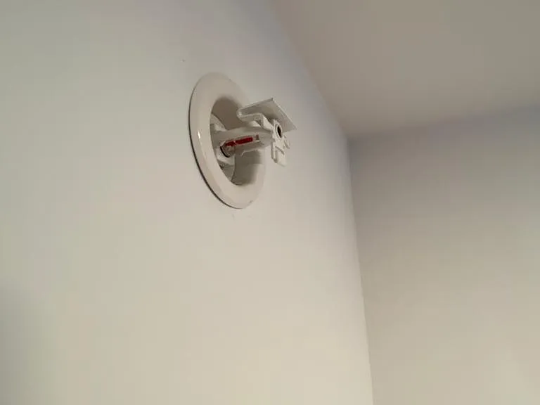 Fire sprinklers