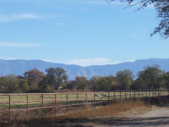 Pasture with migrating Sand Hill Cranes
