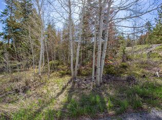 577 Deer Path Rd, Dillon, CO 80435