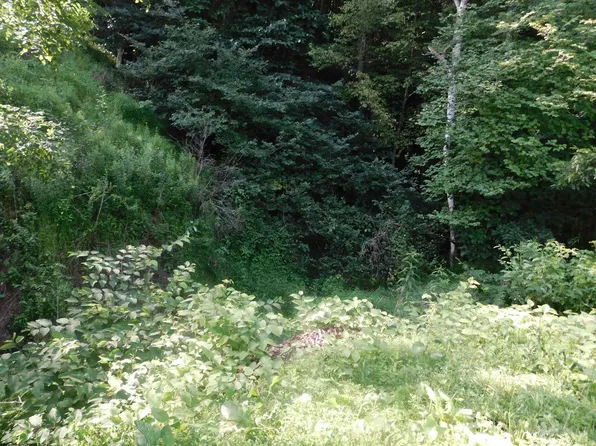 Independence Rd, Newburg, WV 26410
