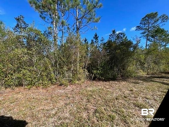 3rd image of 0 County Rd 87