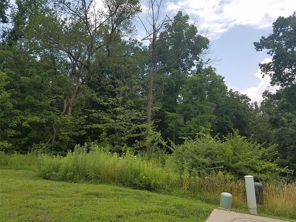 1st image of 12689 Alberts Laumeier Ct
