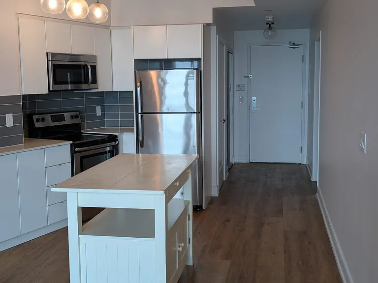 150 E Liberty St #1309 — Photo 6