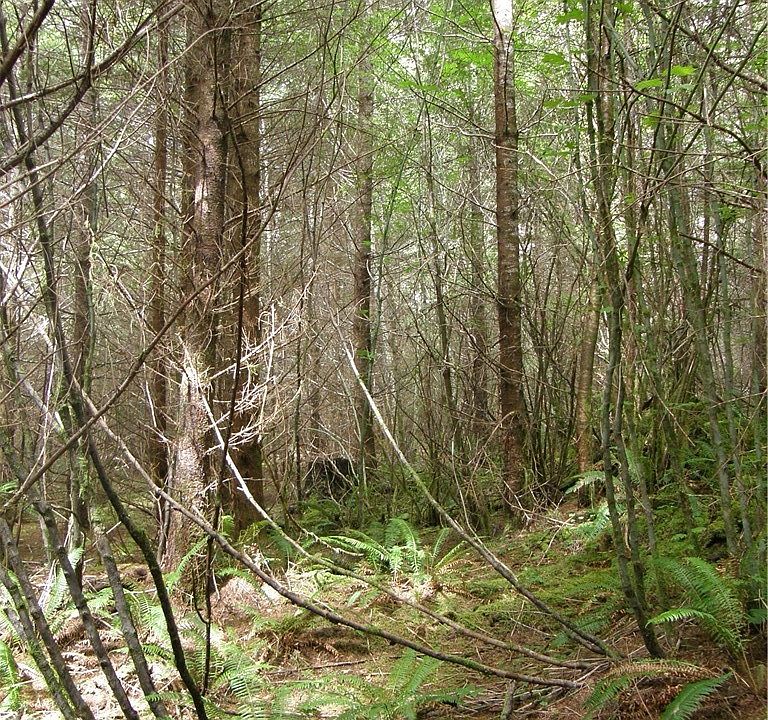 2nd image of 222 W Wishkah Rd