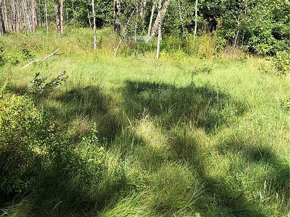 5th image of 28689 County Road C