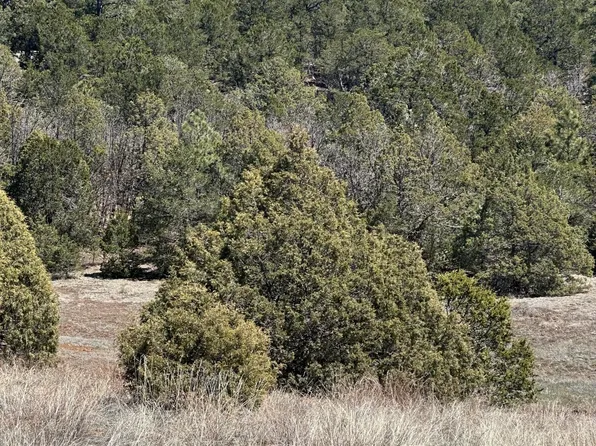 87 Skyland Blvd, Tijeras, NM 87059