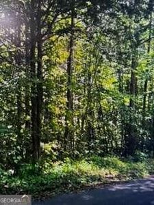 0 Ben Mosley Cir, Summerville, GA, 30747