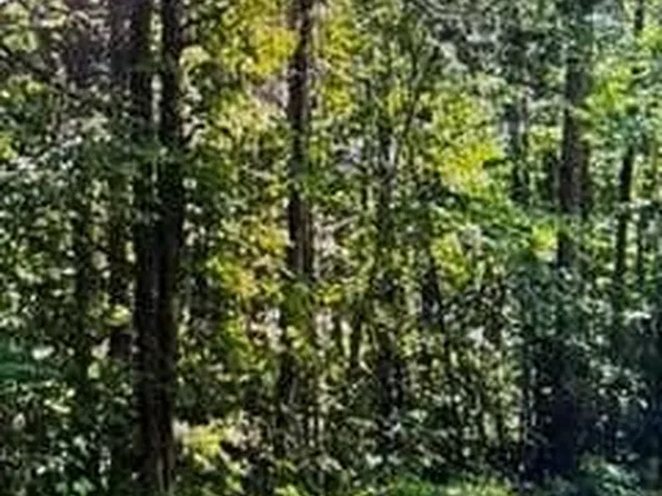 0 Ben Mosley Cir, Summerville, GA 30747