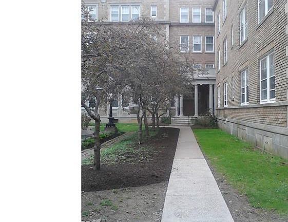3rd image of 6655 McCallum St APT 310